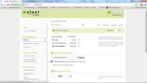 Nelnet Pay by Group