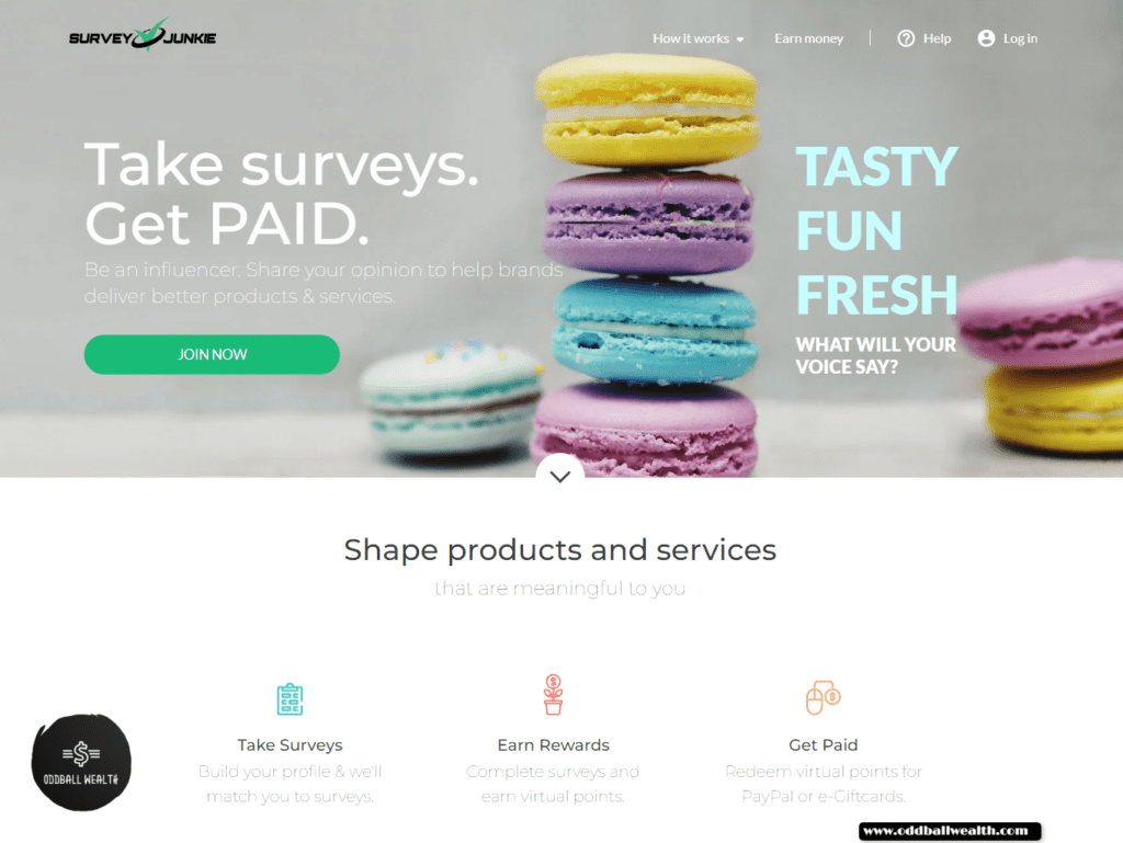 A screen capture image of Survey Junkie's homepage on their website.