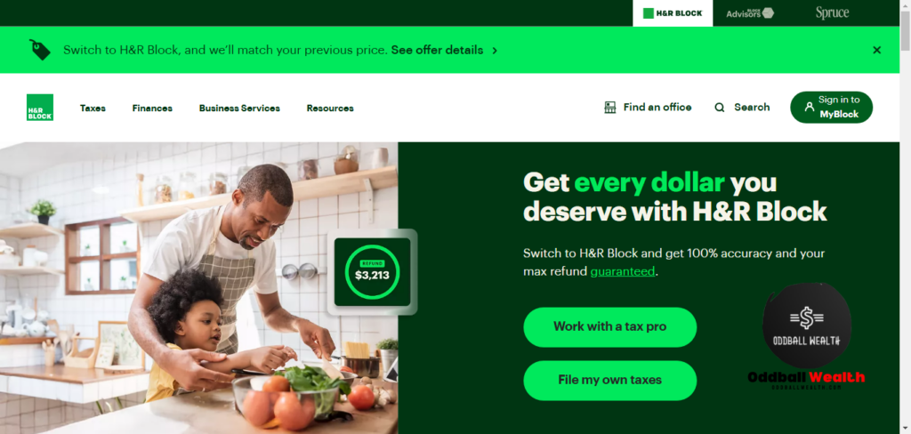 Website screenshot image of H&R Block Tax Filing Software Homepage